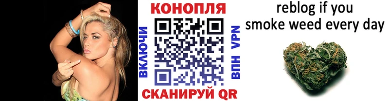 Бошки Шишки MAZAR  Купить где  Дивногорск 